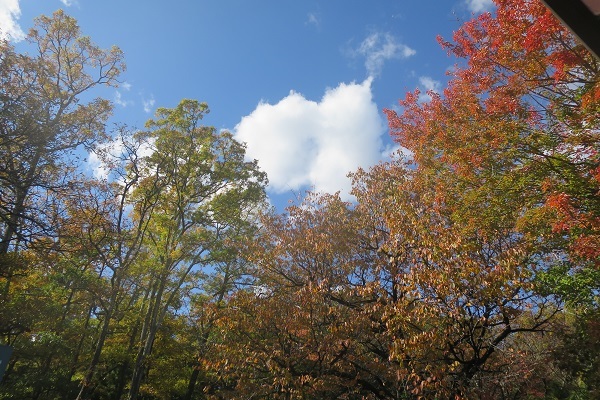 f0202151_19153624.jpg