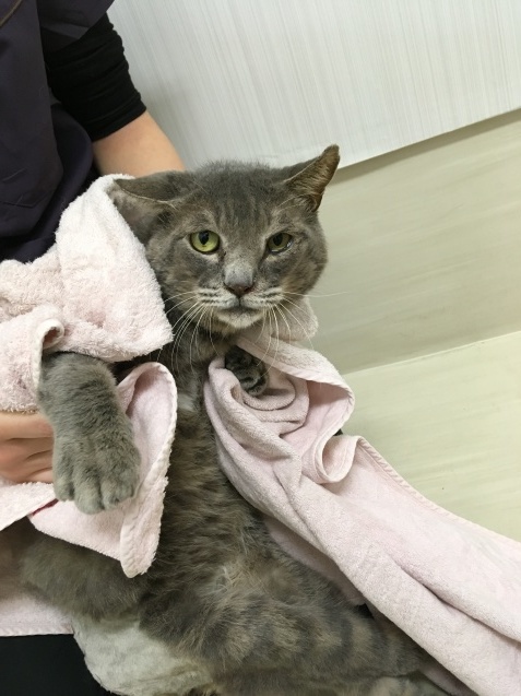 c0268274_18414369.jpeg
