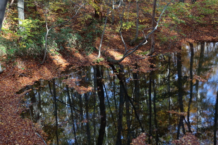 e0165983_10481239.jpg
