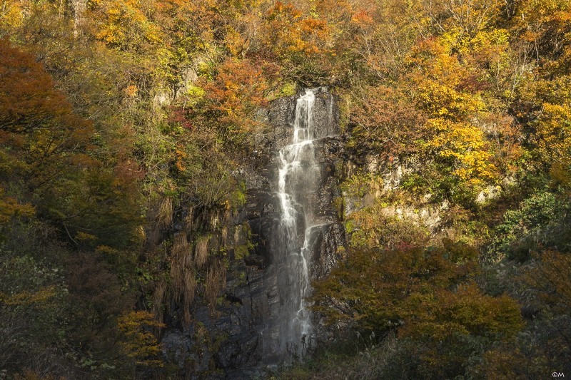 紅葉の中の滝へ 四季燦燦 癒し系 かも風景写真 紅葉の中の滝へ 四季燦燦 癒し系 かも風景写真
