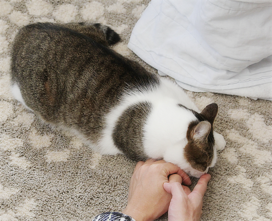 こんなにも愛してる_a0389088_11190289.jpg