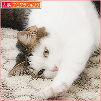 こんなにも愛してる_a0389088_11190373.jpg