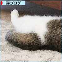 こんなにも愛してる_a0389088_11190380.jpg
