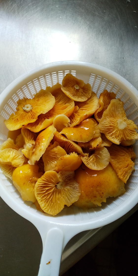 サンピラー_b0393191_1262534.jpg