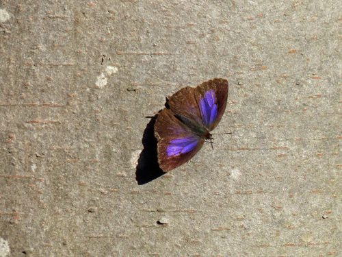 d0353091_19092677.jpg