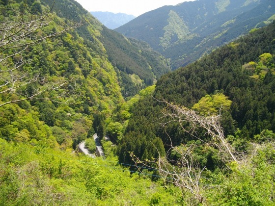 大座礼山(大川村)【2012年5月】_f0308898_12282168.jpg