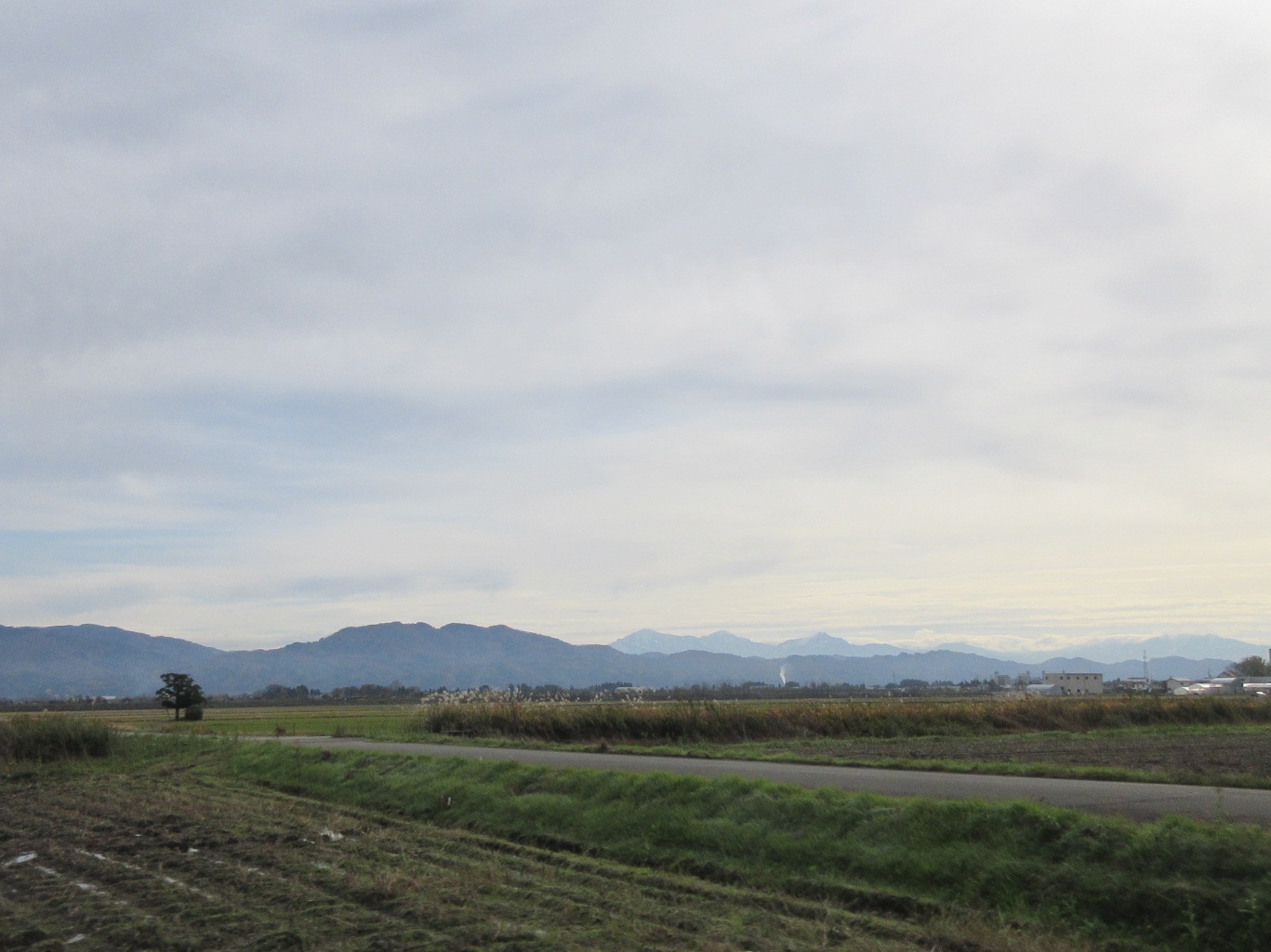 毛布と煎餅と眼鏡_a0203003_17502034.jpg