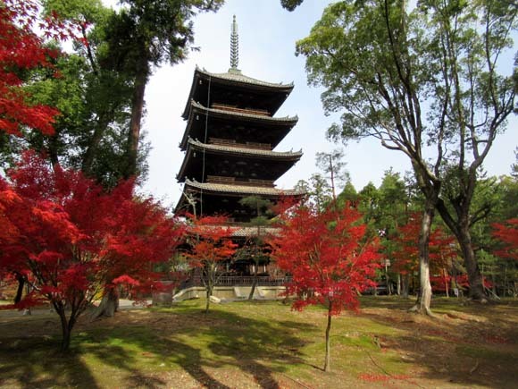 紅葉が盛り 仁和寺_e0048413_21513813.jpg