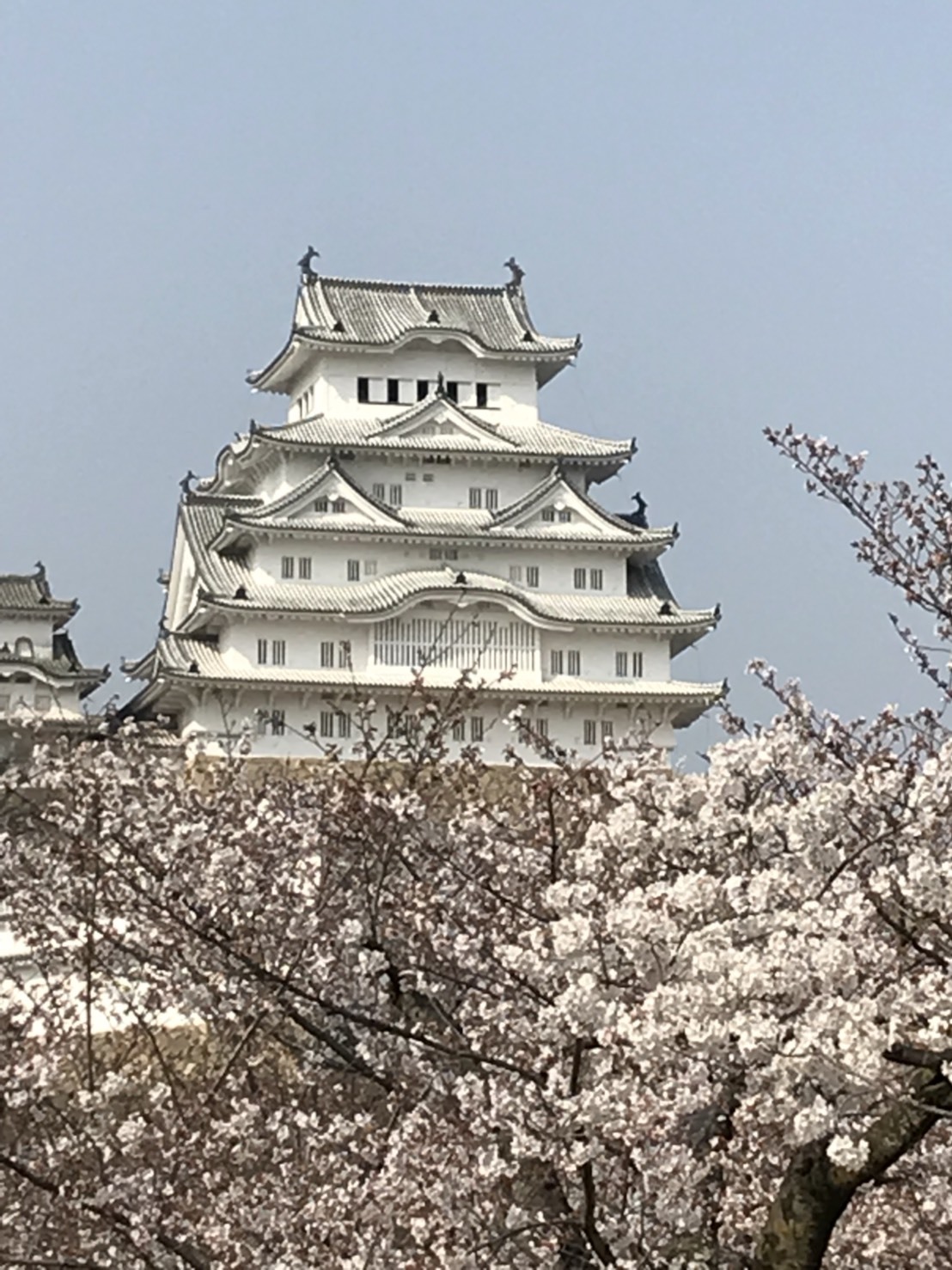 お磨きご奉仕_d0184114_20270692.jpeg