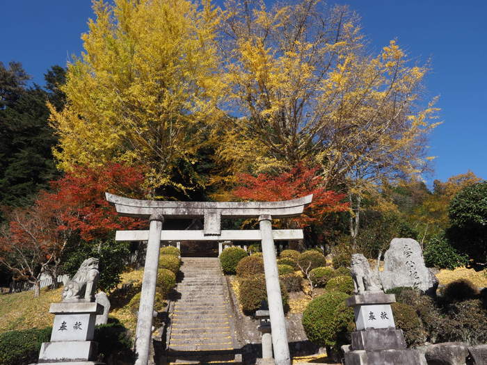 今日の客人神社の黄葉_c0116915_00250140.jpg