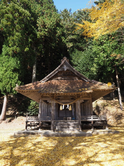 今日の客人神社の黄葉_c0116915_00251855.jpg