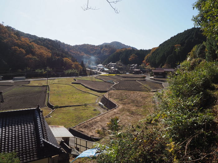 今日の客人神社の黄葉_c0116915_00274216.jpg