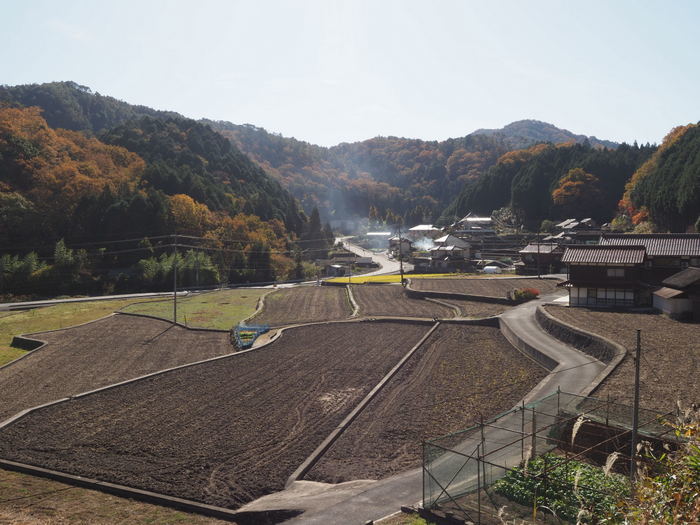 今日の客人神社の黄葉_c0116915_00275502.jpg