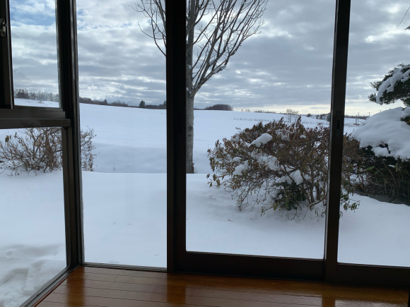 そとはすっかり雪景色です。_f0096216_10212561.jpg