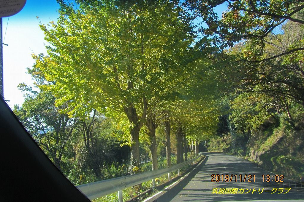 e0052135_19461308.jpg