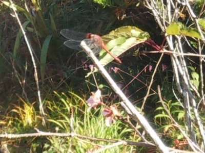 c0330749_13473008.jpg