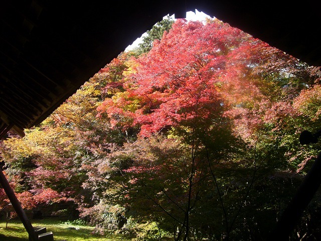 紅葉狩り_f0044065_09081427.jpg
