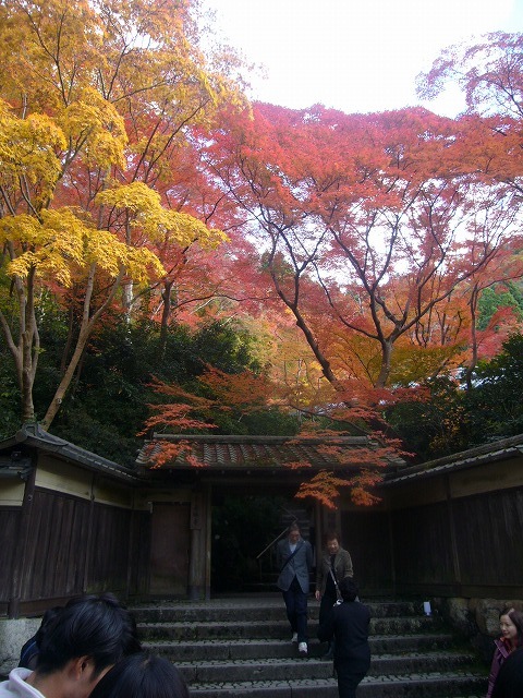 紅葉狩り_f0044065_09142875.jpg