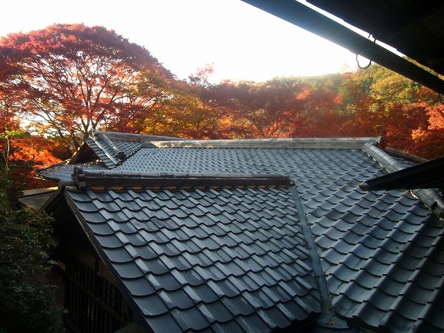 紅葉狩り_f0044065_09181544.jpg