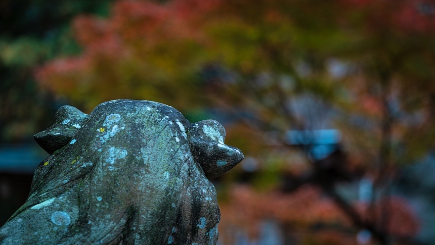 秋霖の古き神社_d0353489_23212852.jpg