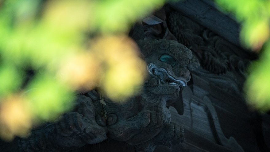秋霖の古き神社_d0353489_23322378.jpg