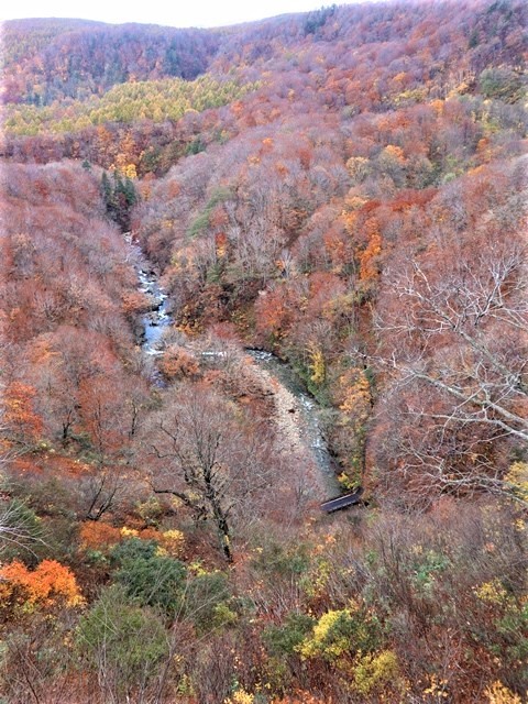 藤田八束の絶景地を訪ねて@秋深くみちのくの旅、八甲田の絶景は秋景色にある、世界に誇る八甲田山系の秋の絶景_d0181492_18360122.jpg