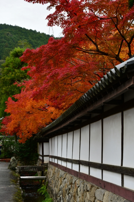 京都紅葉徘徊2019　東山界隈その1　南禅寺_f0374895_20545069.jpg