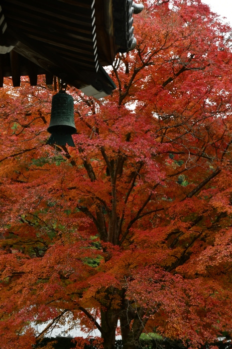 京都紅葉徘徊2019　東山界隈その1　南禅寺_f0374895_21123819.jpg