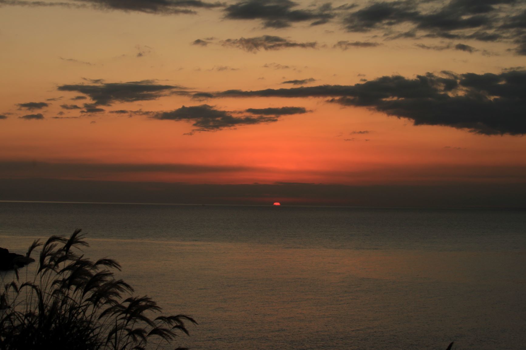 寒々しい夕暮れ 熊本天草下田 もりじいの備忘録
