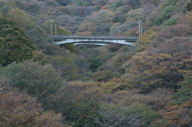 晩秋のアプトの道 _a0357206_22095965.jpg