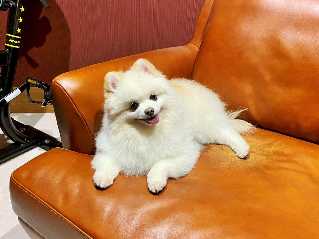 褒めて育てる_d0360206_00080158.jpg