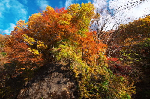 碓氷峠の紅葉_a0263109_20430103.jpg