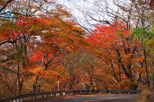 碓氷峠の紅葉_a0263109_20432700.jpg