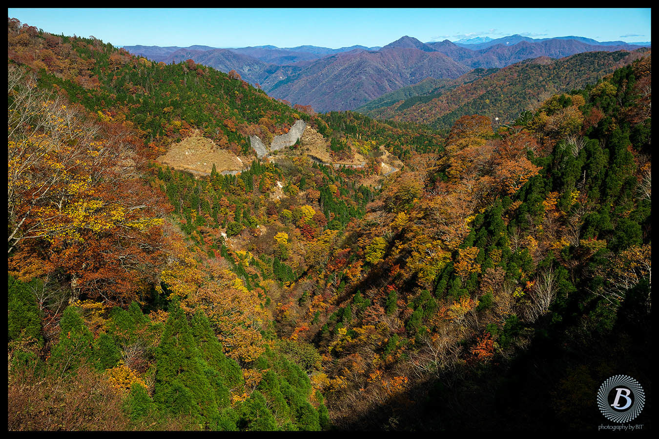 鳥越林道の紅葉2019_c0115616_17164701.jpg