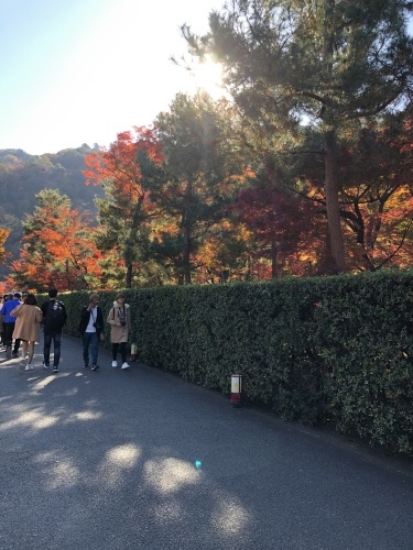 嵐山も紅葉真っ盛り〜！_a0197730_16093974.jpeg