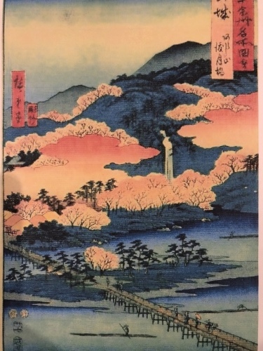 嵐山も紅葉真っ盛り〜！_a0197730_16102221.jpeg