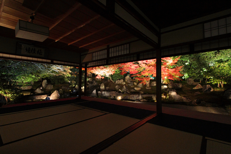 東山紅葉ライトアップ －圓徳院（後編）－_b0169330_16435972.jpg
