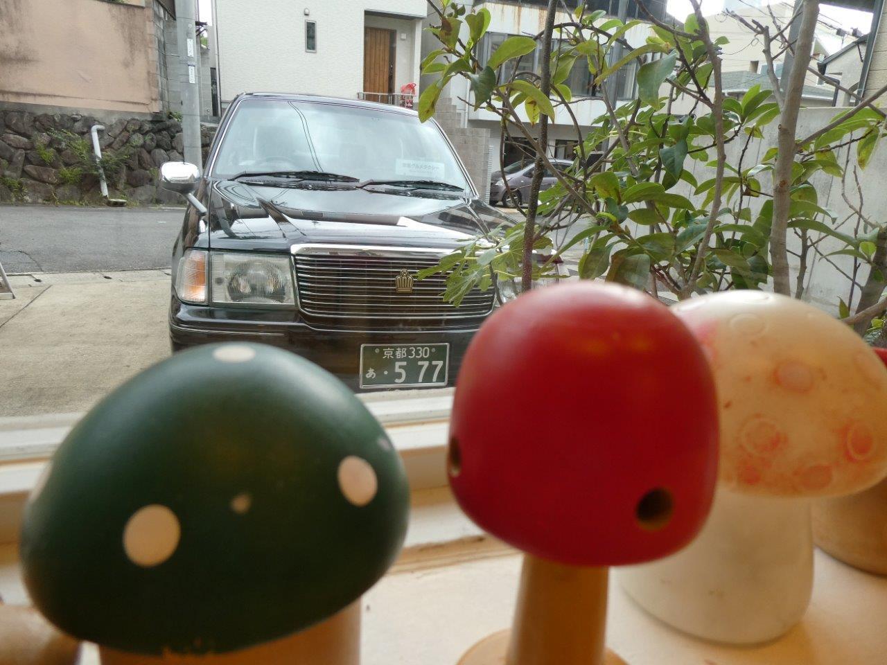 フラウピルツ （Frau Pilz） _d0106134_00222071.jpg