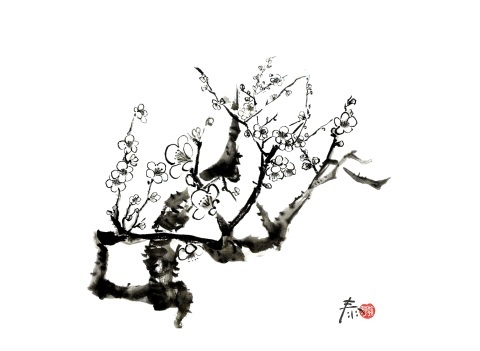 /// 日本語の奥深さ ///2019.12.04日放送分_f0112434_19362061.jpg