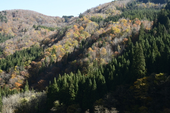 白山白峰線にて_c0093046_18590761.jpg