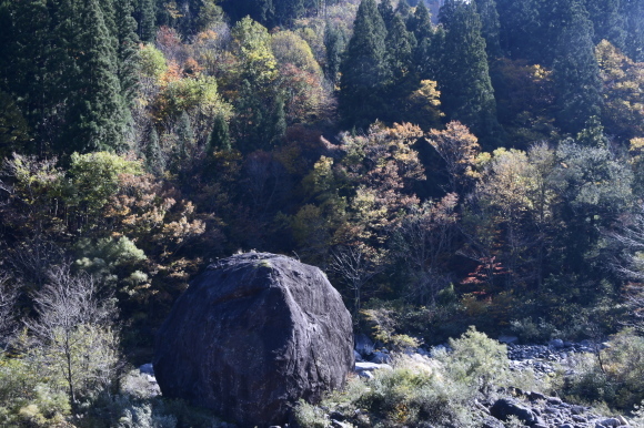 白山白峰線にて_c0093046_18593865.jpg