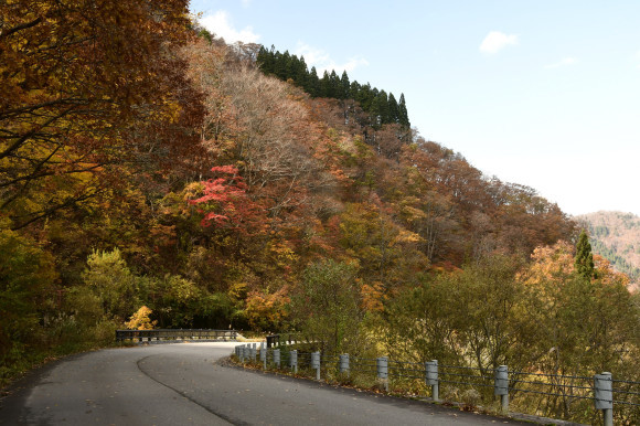 白山白峰線にて_c0093046_18595851.jpg