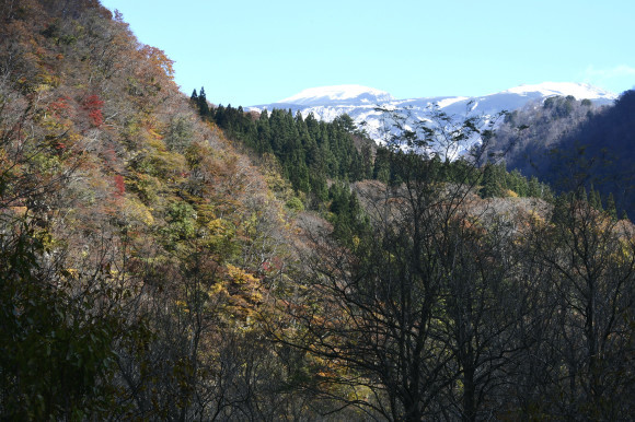 白山白峰線にて_c0093046_19003636.jpg