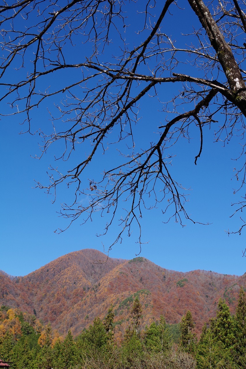 寒暖_f0114346_12074396.jpg