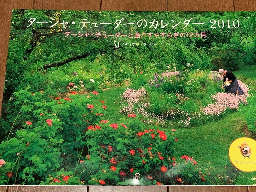 ☆母と一緒にくす玉、そして炊き込み・＆カレンダーのこと☆_c0092953_11310922.jpg
