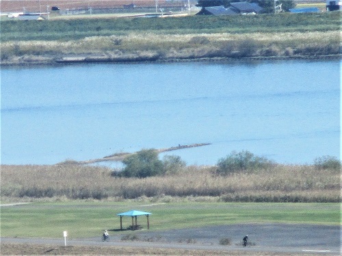 2019.10.28 長良川河口堰県民調査団(2)_f0197754_20003261.jpg