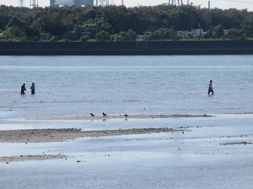2019.10.28 長良川河口堰県民調査団(3)_f0197754_20554350.jpg