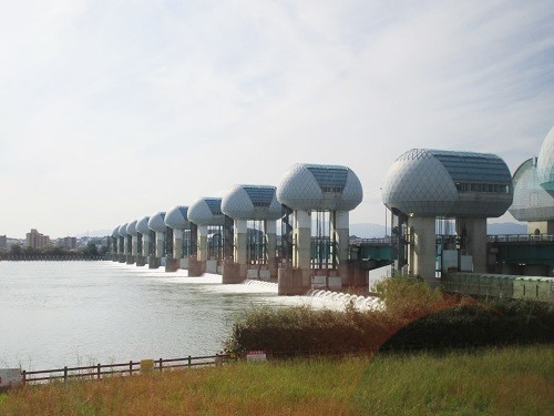 2019.10.28 長良川河口堰県民調査団(4)_f0197754_22443232.jpg