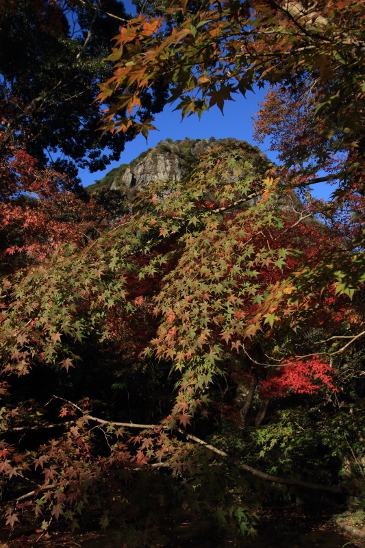 紅葉狩り_c0213564_10455579.jpg