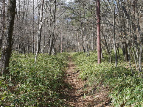 【昇仙峡再訪】②標高トップ3の名峰一望11・12～13_c0014967_13332177.jpg